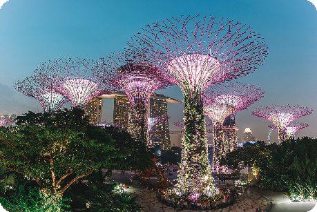 Govindss Singapura 2